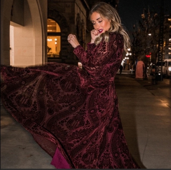 Ivy City Sasha Burnout Velvet Dress NWT - Picture 3 of 8